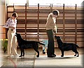 IMG_213000.jpg