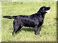 IMG_2354444.jpg