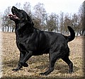 IMG_30522222.jpg