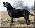 IMG_30555555.jpg