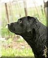 IMG_3955555.jpg