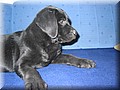 IMG_4328.jpg