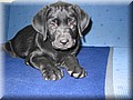 IMG_4335.jpg