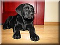 IMG_4489.jpg