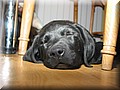 IMG_4772.jpg