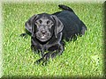 IMG_5030.jpg