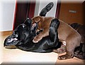 IMG_51066666.jpg