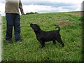 IMG_5350.jpg