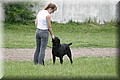 IMG_5570.JPG