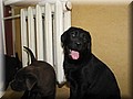IMG_5612.jpg