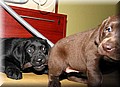 IMG_56400000.jpg