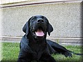 IMG_6980.jpg