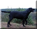 IMG_934000000.jpg