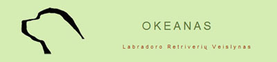www.okeanas.lt