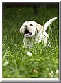 DSC_6791111.jpg