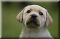 DSC_7318.JPG