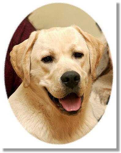 2004-03-10