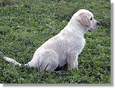 2003-09-09
