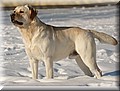 DSC_00~3.JPG