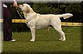 DSC_1367.JPG