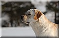 DSC_1798.JPG