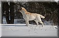 DSC_1802.JPG