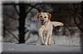 DSC_1807.JPG