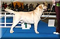 DSC_1897.JPG