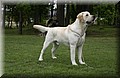 DSC_2299.JPG