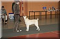 DSC_2844.JPG