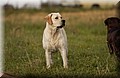 DSC_2868.JPG