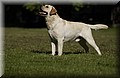 DSC_3119.JPG