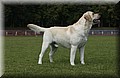 DSC_3150.JPG