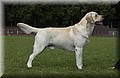 DSC_3161.JPG