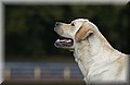 DSC_3167.JPG