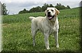 DSC_3201.JPG