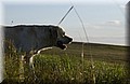 DSC_3587.JPG