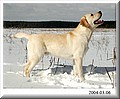 DSC_3904444www.jpg