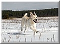 DSC_392222223.jpg