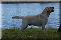 DSC_4407.JPG