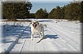 DSC_4426.JPG