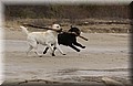 DSC_4889.JPG