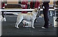 DSC_4979.JPG