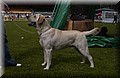DSC_5215.JPG