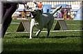 DSC_5566.JPG