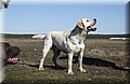 DSC_6107.JPG