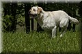 DSC_6135.JPG