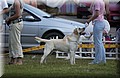 DSC_6145.JPG