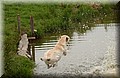 DSC_6298.JPG