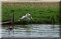DSC_6319.JPG